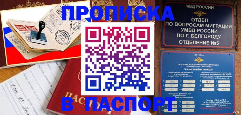 купить прописку в Выксе